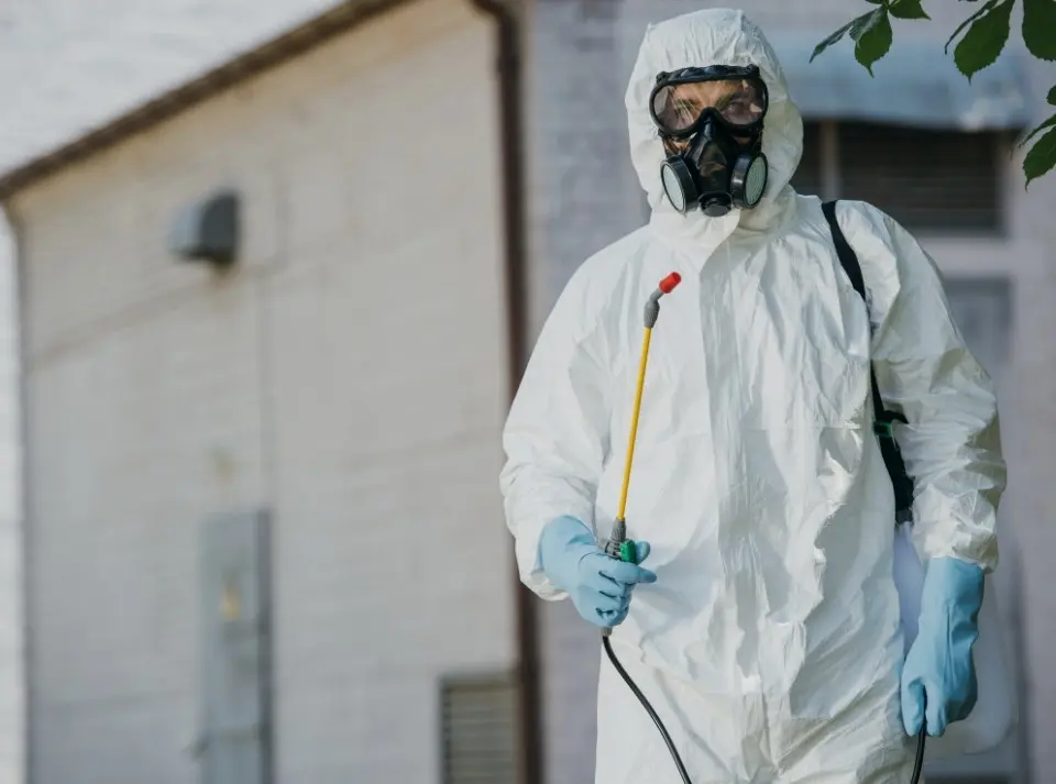 A pest control expert treating pest infestation in a warehouse