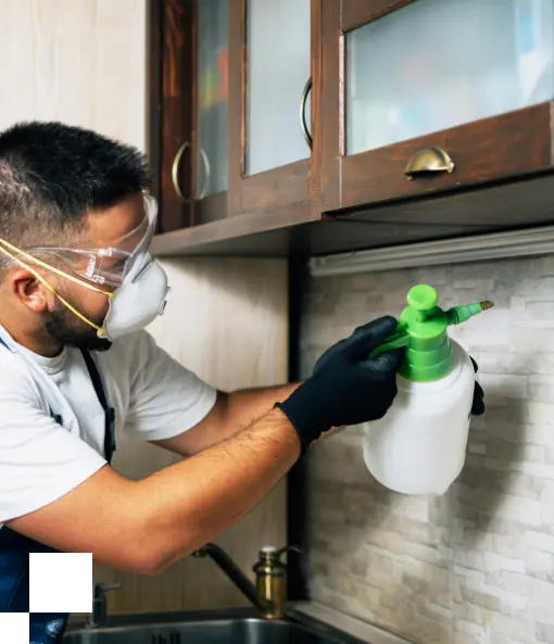 urham Pest Control Services by Zolo Pest Control – Safe, Effective Extermination