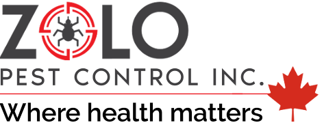 Zolo Pest Control - Durham Area, Ontario